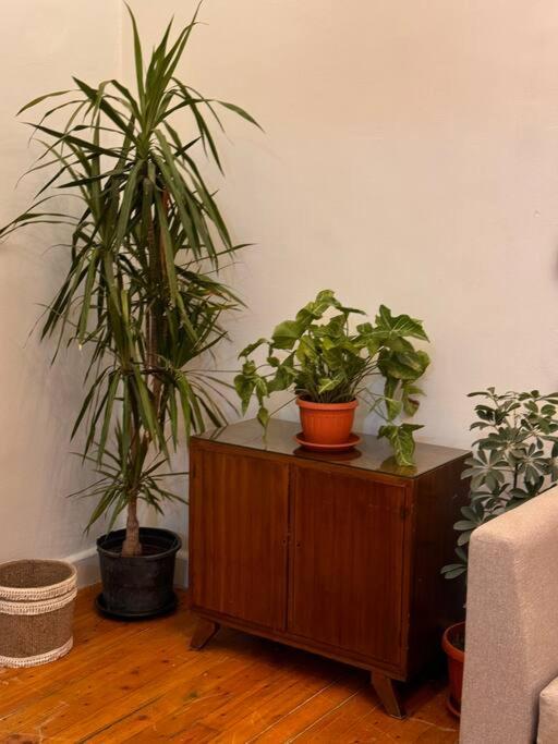 Cozy City Center Apartment & Suitable for Digital Nomads