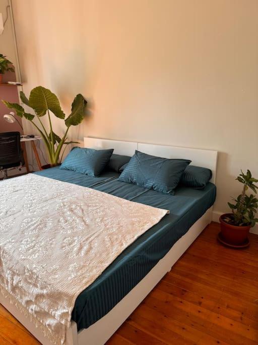 Cozy City Center Apartment & Suitable for Digital Nomads
