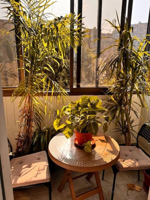 Cozy City Center Apartment & Suitable for Digital Nomads
