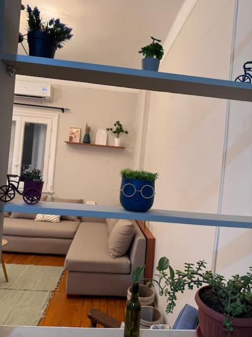Cozy City Center Apartment & Suitable for Digital Nomads