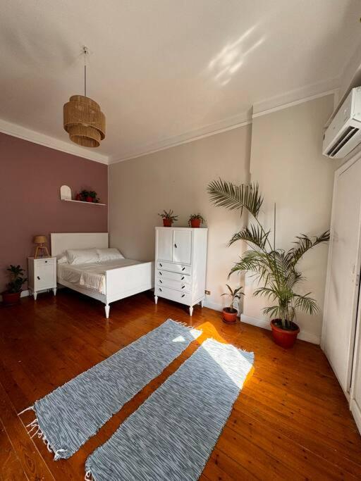Cozy City Center Apartment & Suitable for Digital Nomads