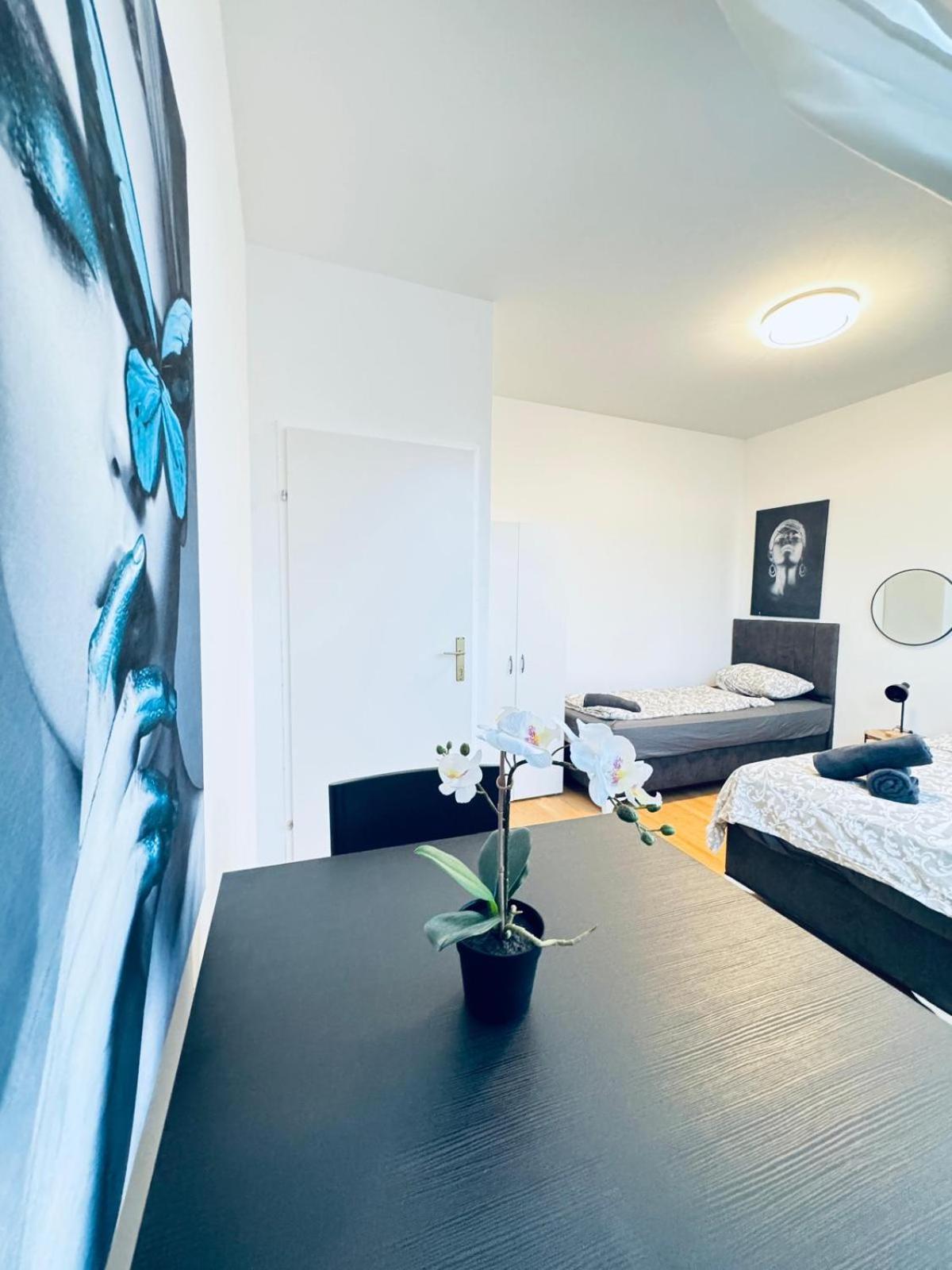 Comfy 4BR Apt- Nearby Schönbrunn