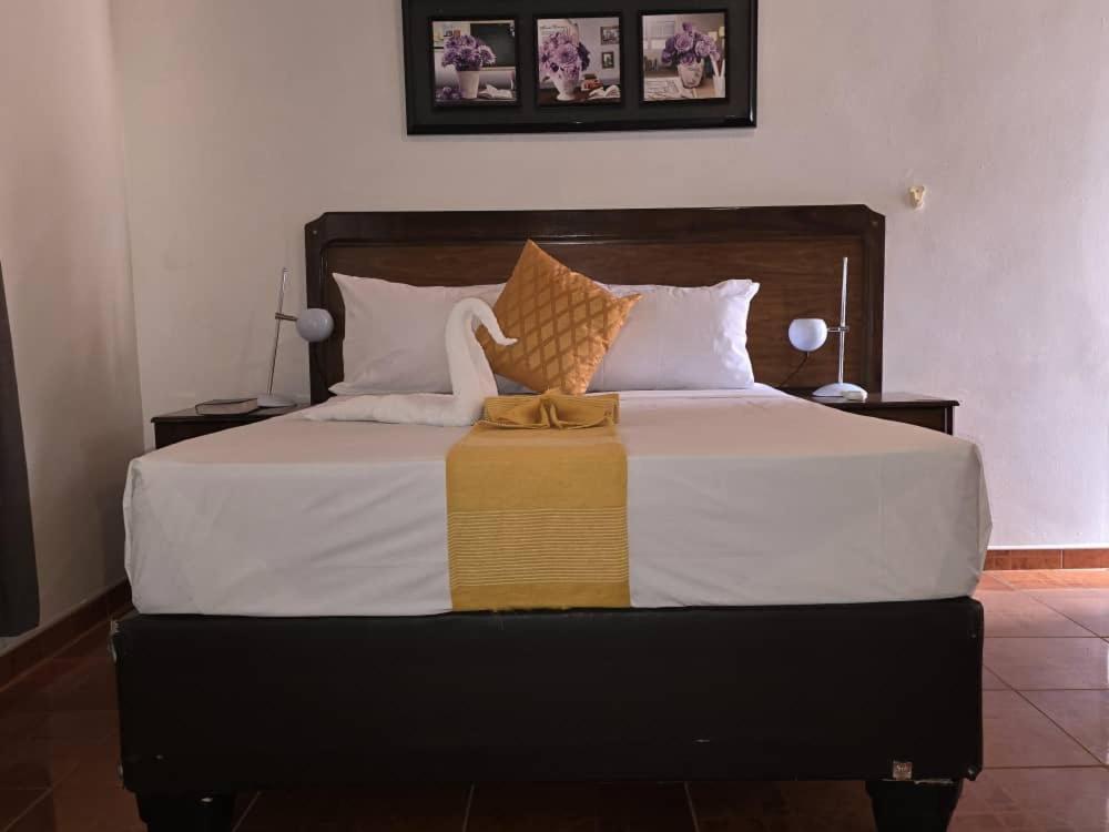 The Wild Thing Guesthouse