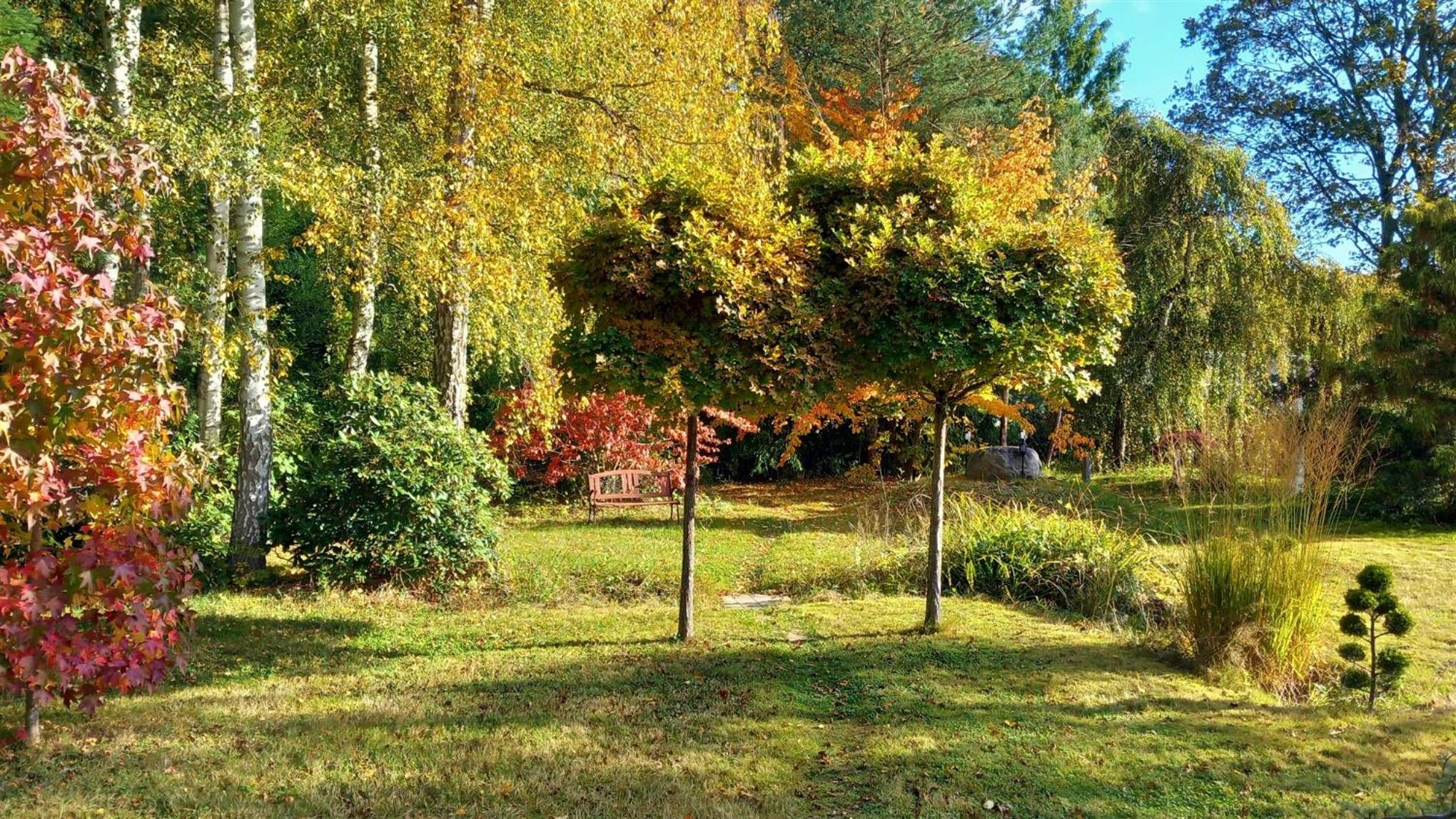 Ostsee Hotel-Pension An der Lindenallee