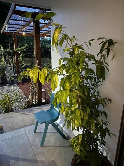 Photo 44