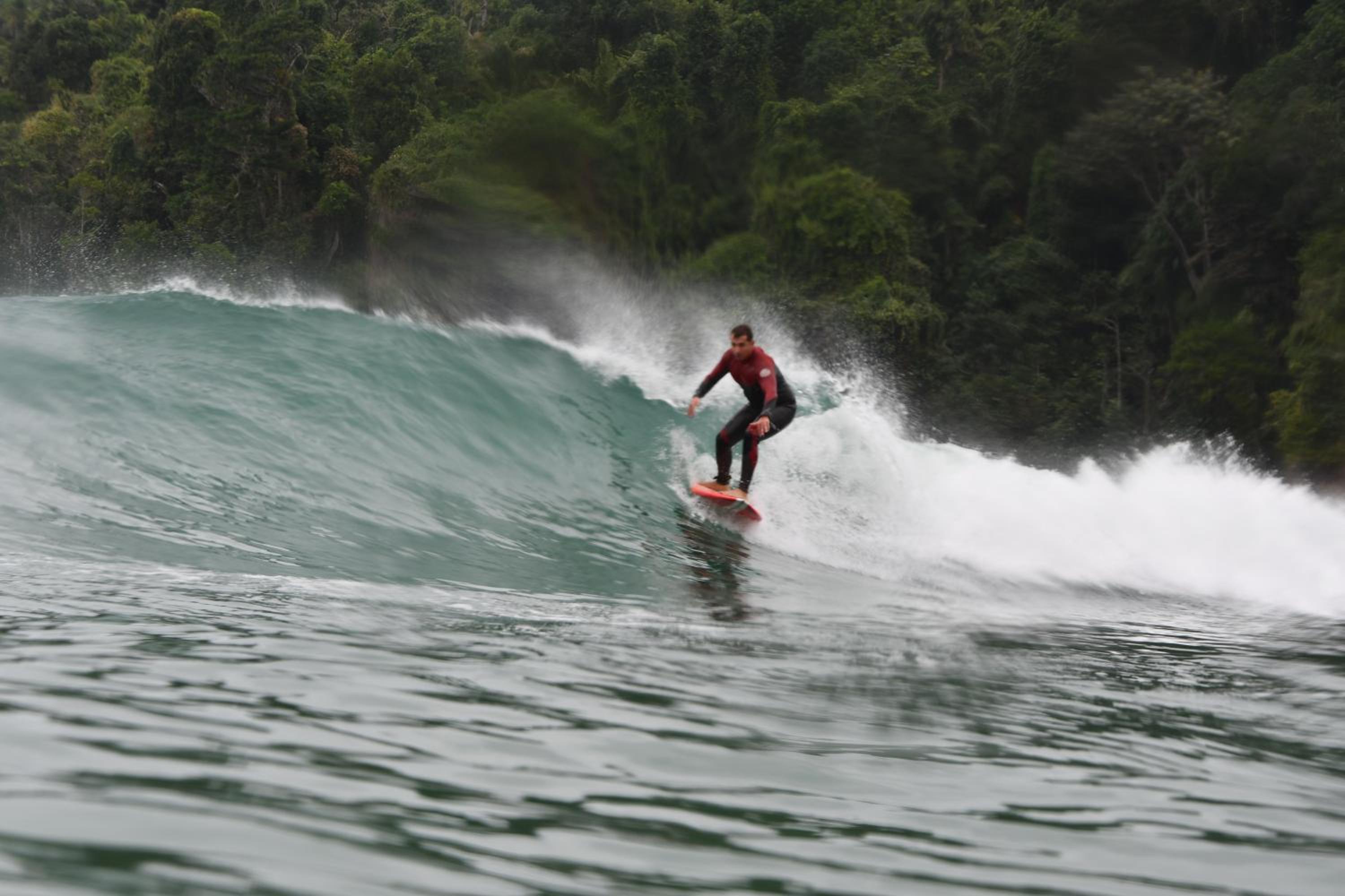 Ubatuba Wild Surf House