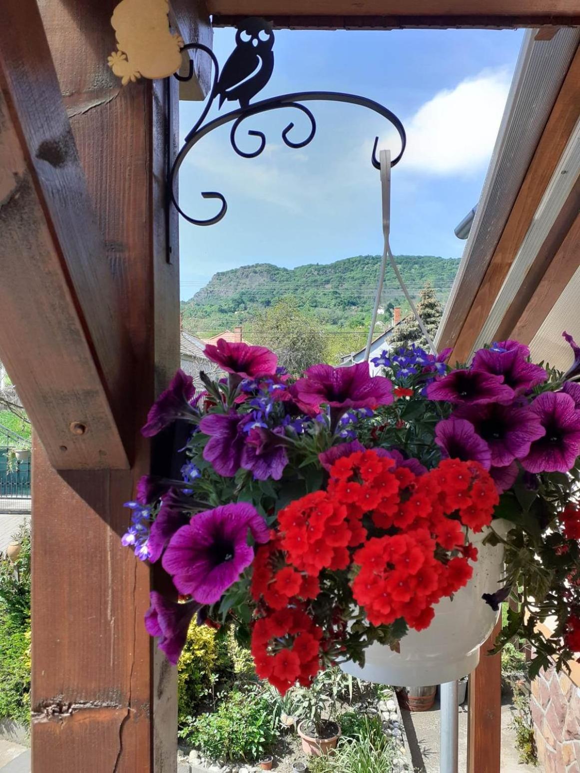 CsillaG Apartman