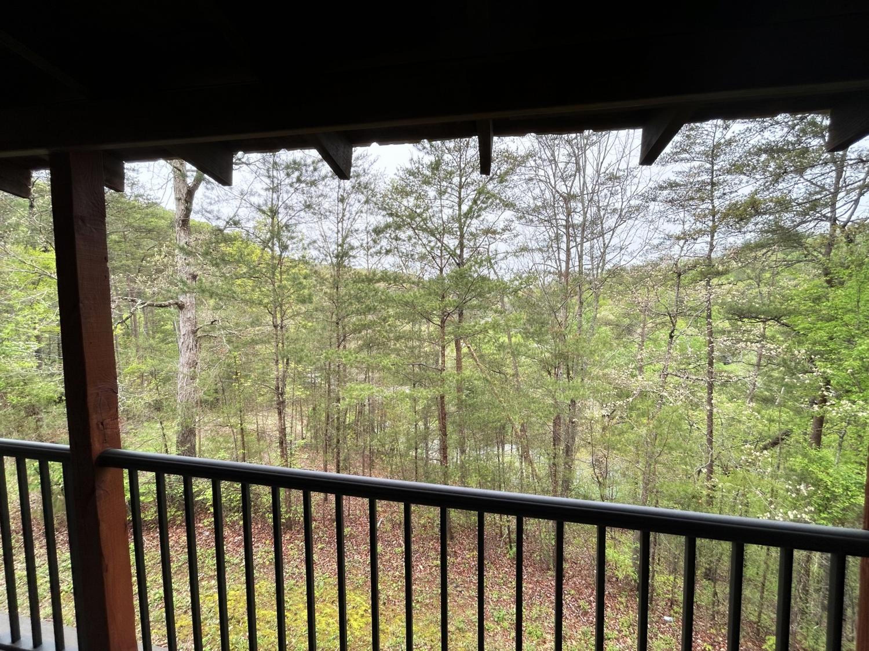 A Magical Experience view 3