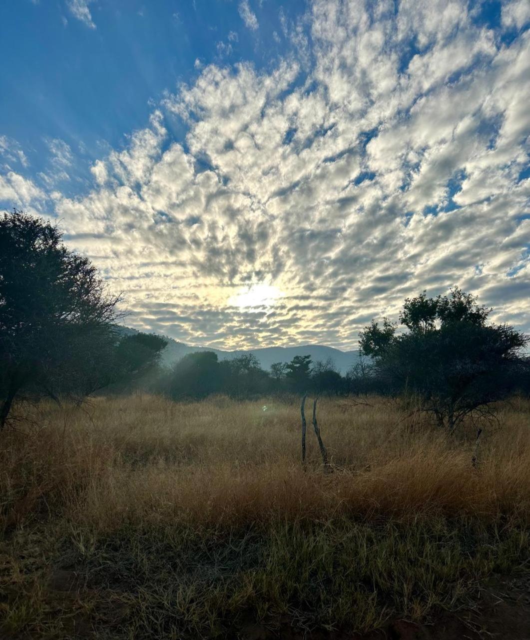 Mabalingwe Nature Reserve - Elephant Lodge - Tjaila