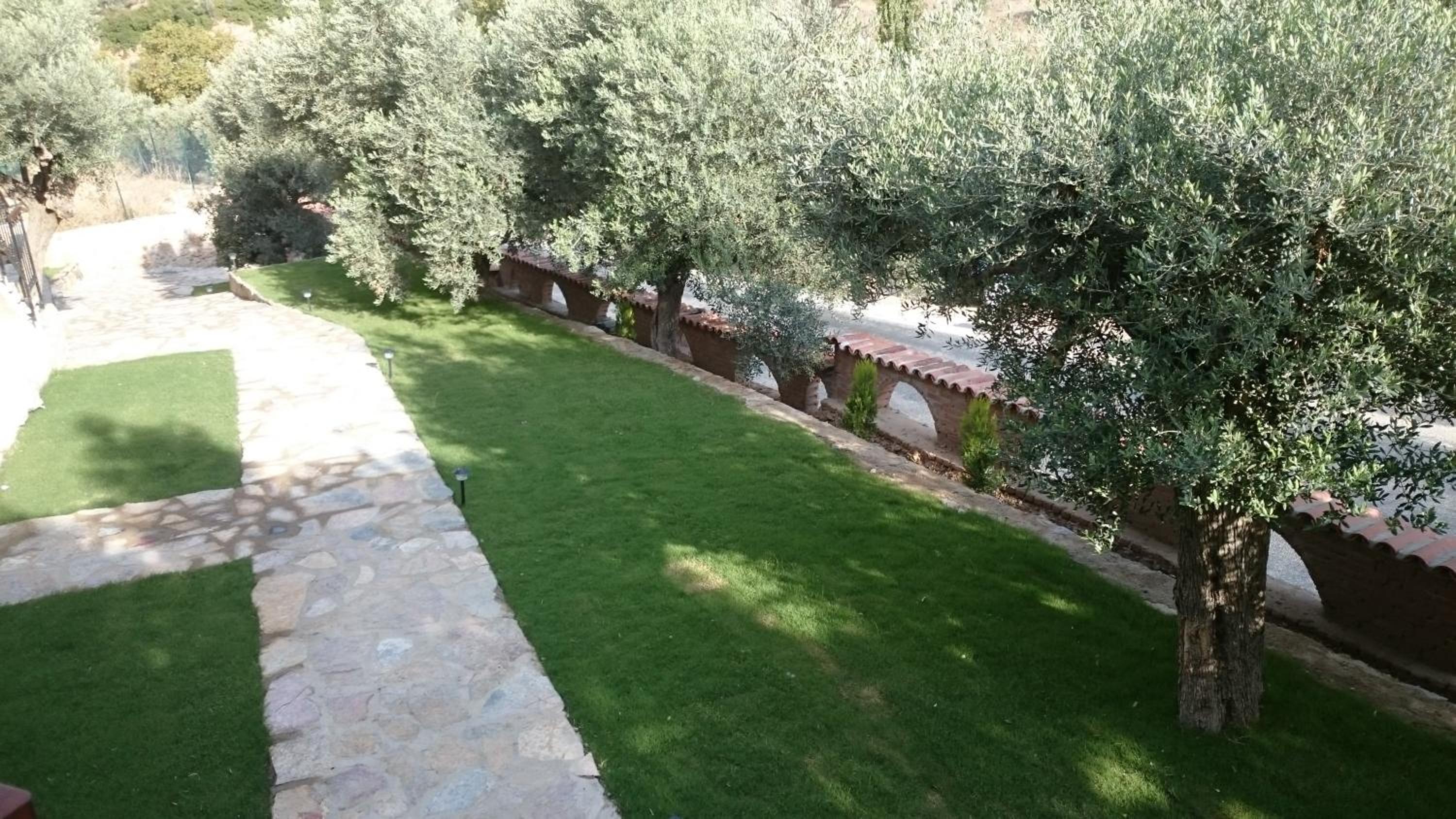 Photo 21