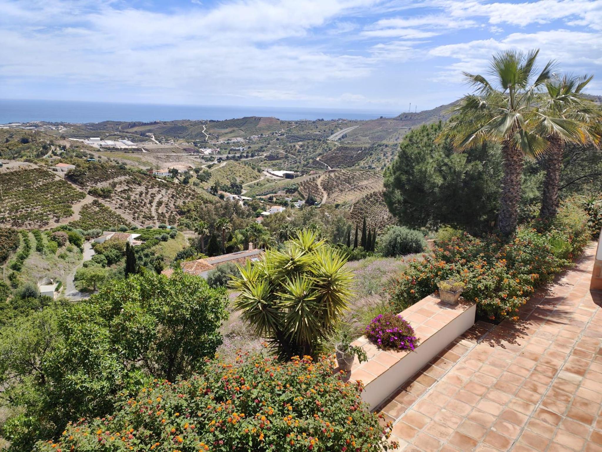 Finca Sol y Cielo view 2