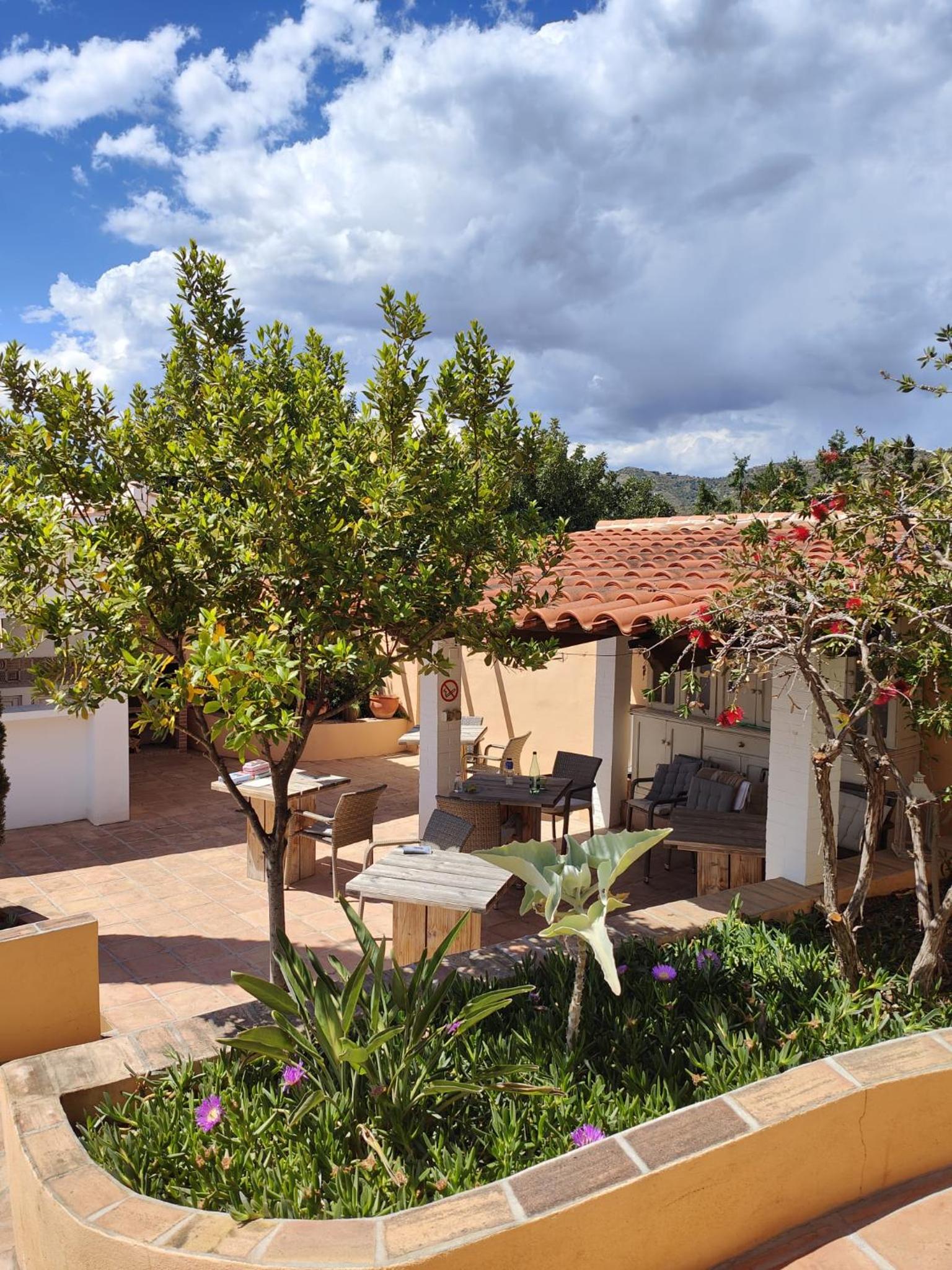 Finca Sol y Cielo view 4
