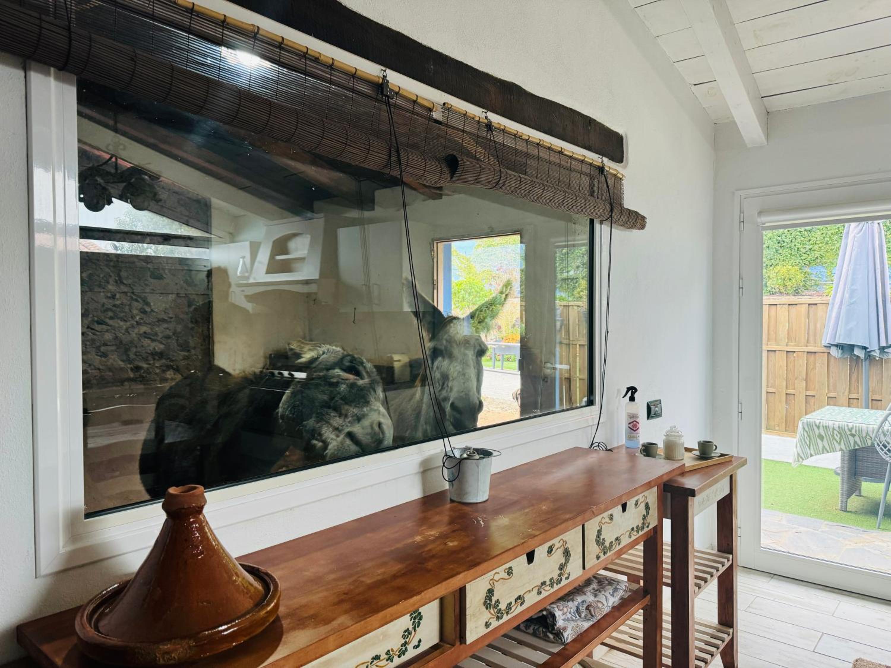 Casa antigua