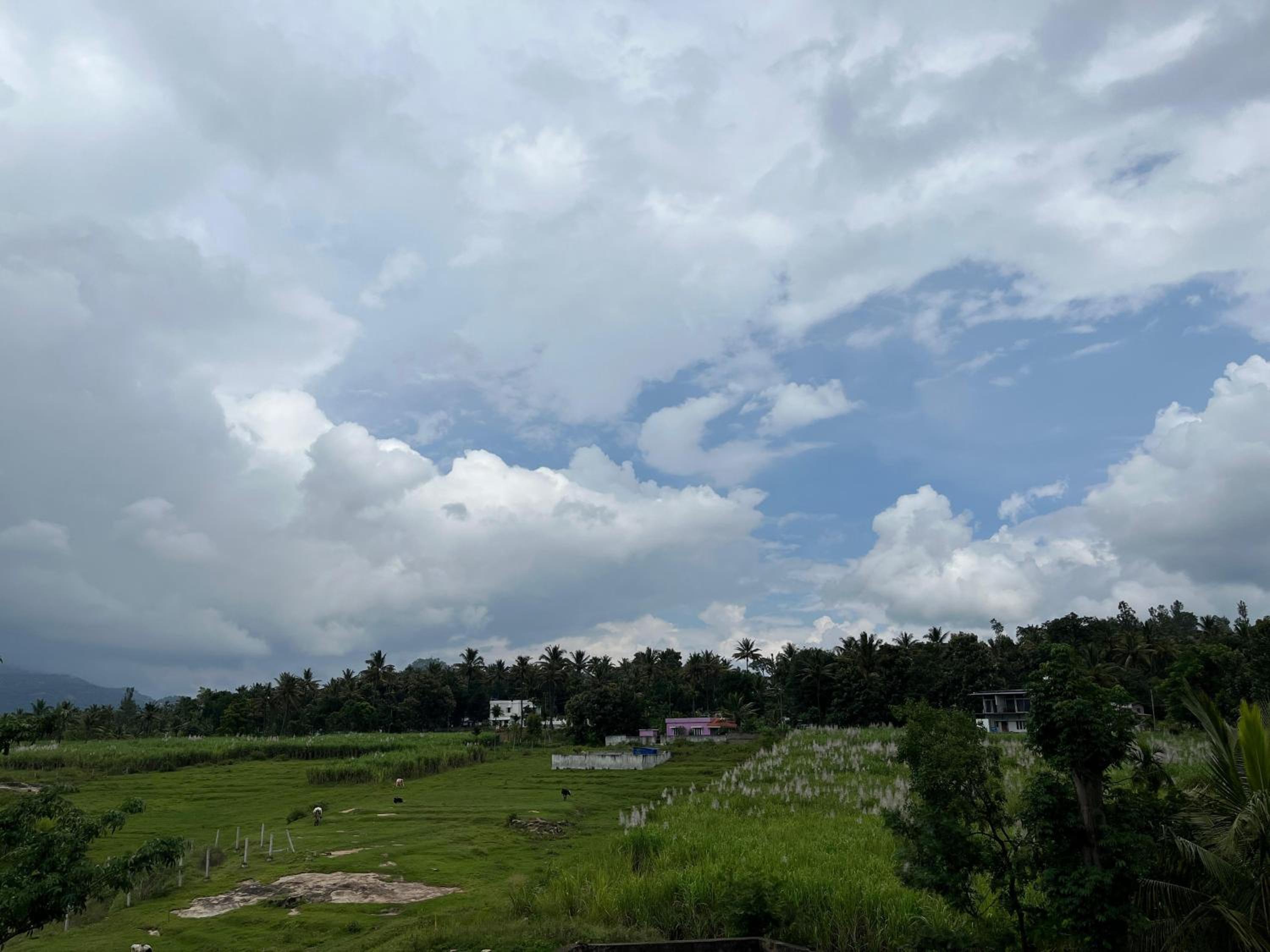 Bro Code Marayoor A Premium Family Friendly Retreat with Panoramic Mountain Views view 5
