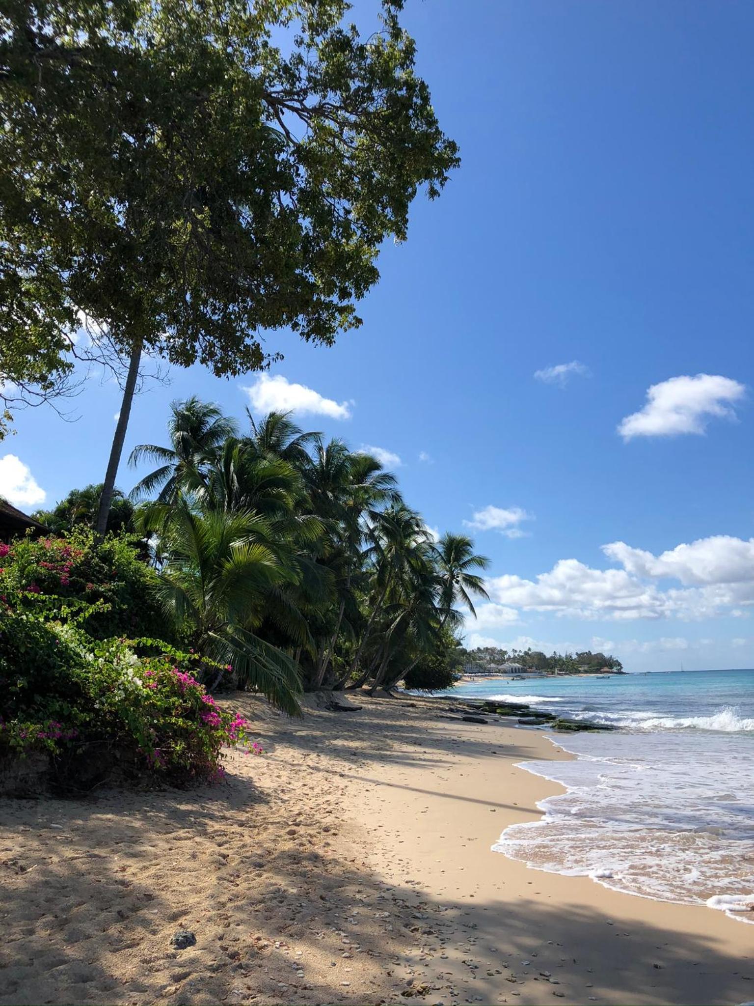 Mullins Beach Houses