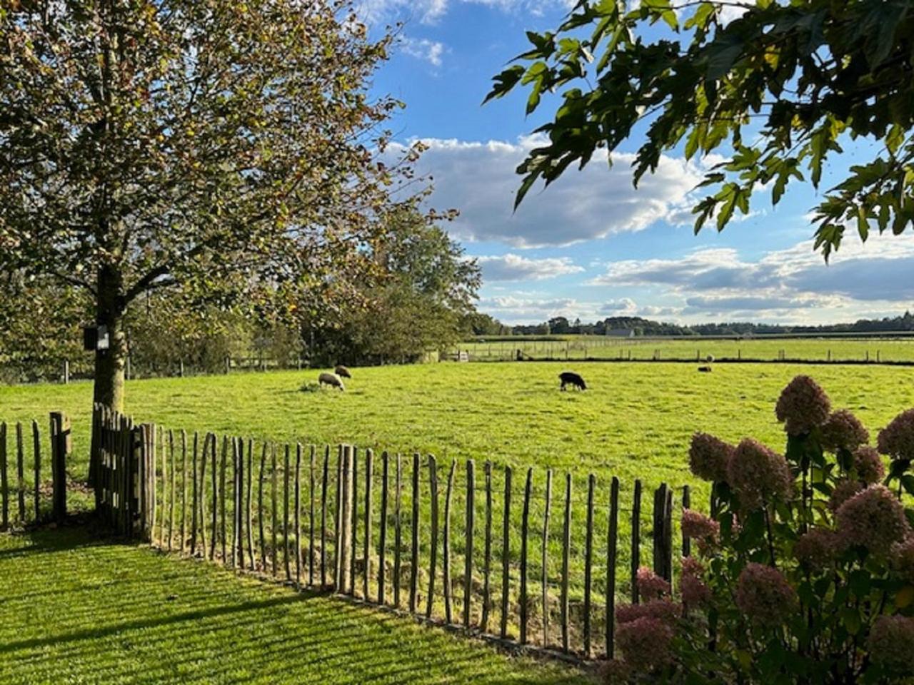 Natuurhuisje het Steenuiltje op een prachtige plek view 3