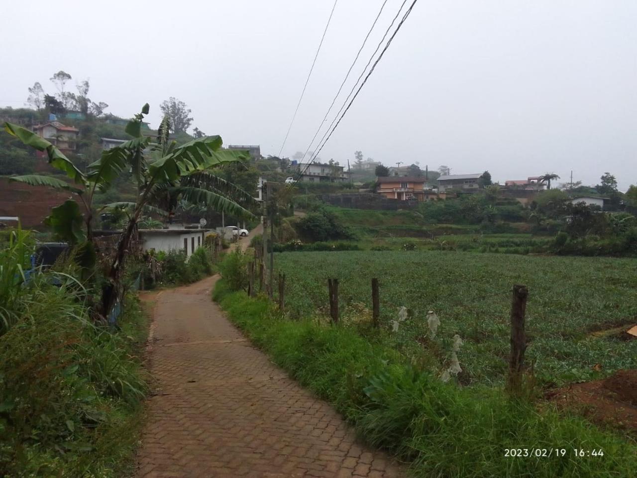 Ama Cottage view 2