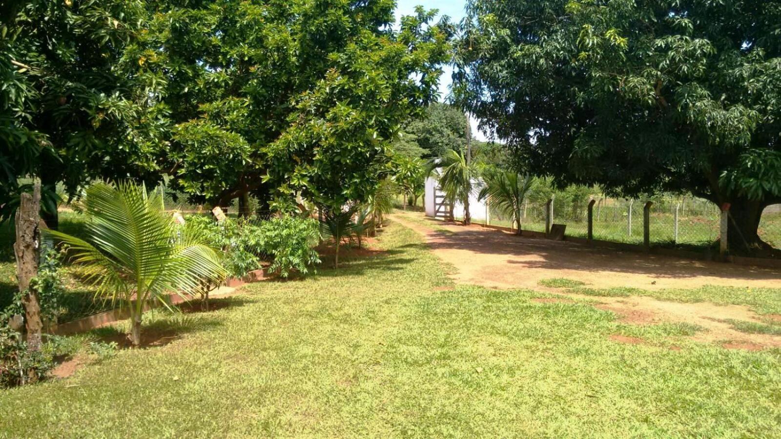 Photo 43