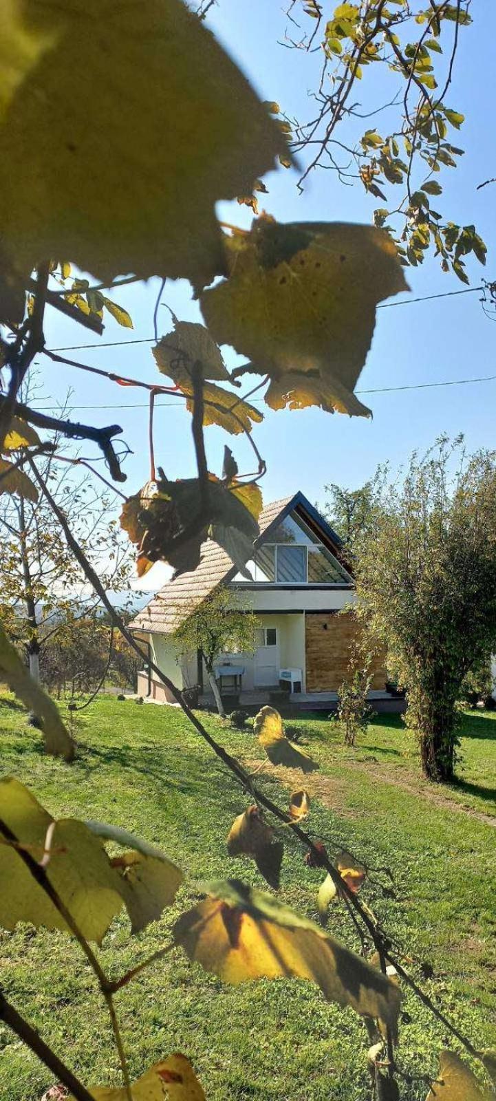 Photo 26