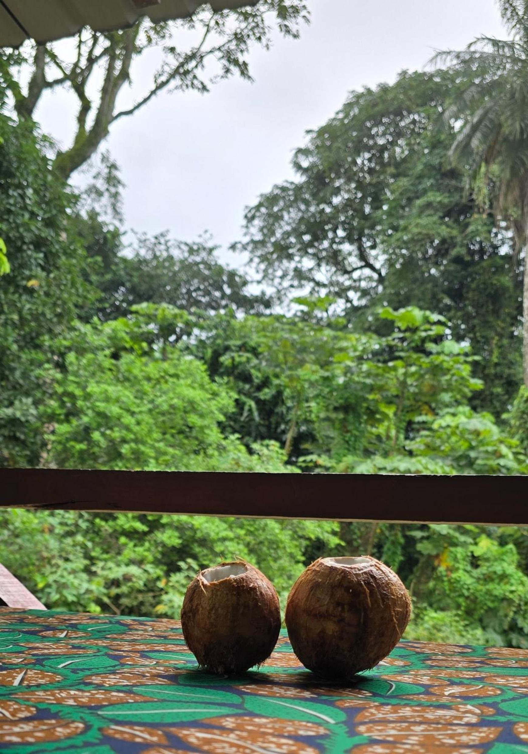 Casas Salomão view 3