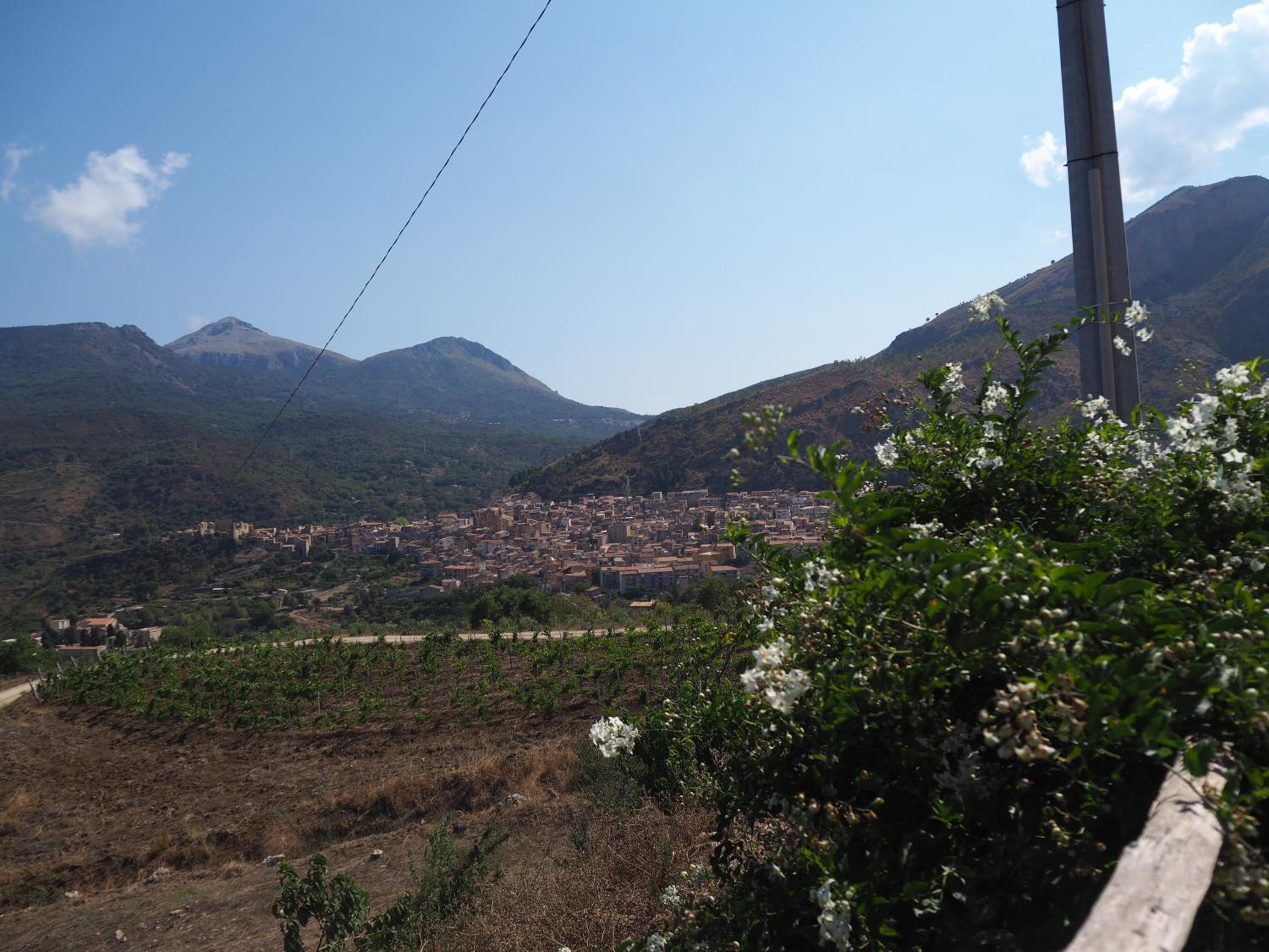 Agriturismo Dispenza