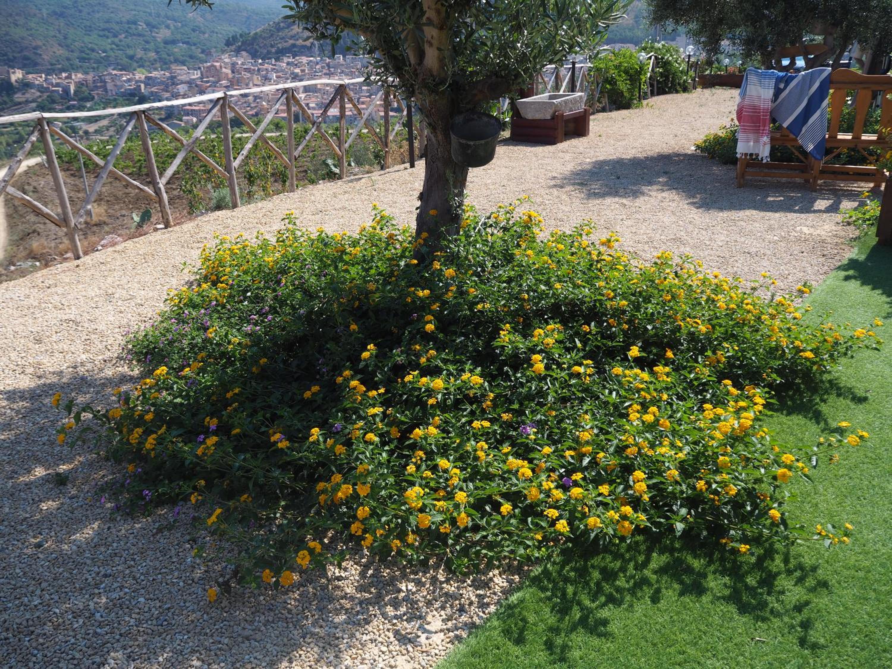 Agriturismo Dispenza
