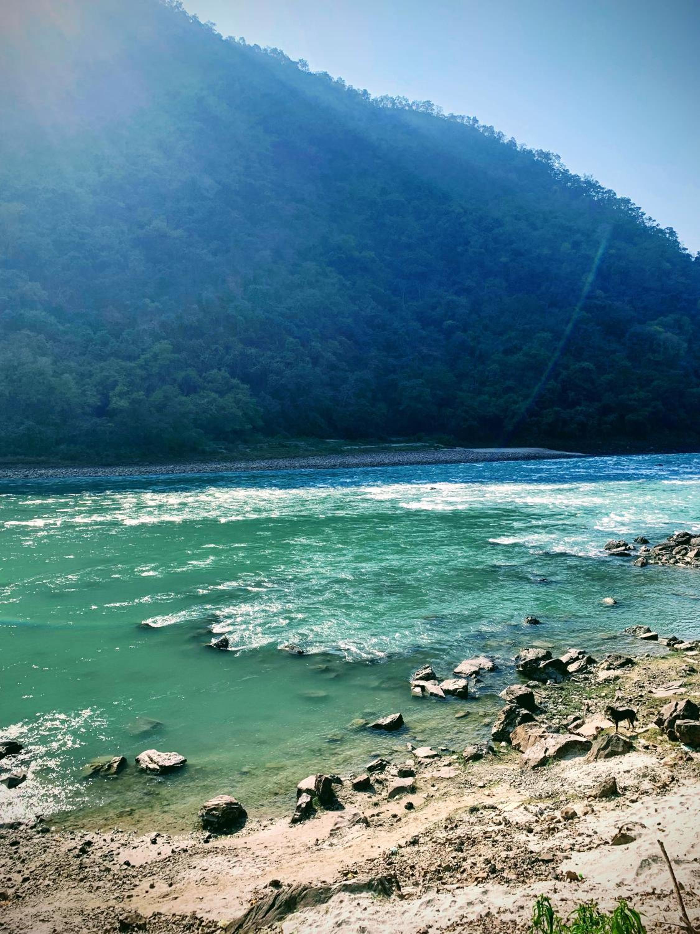 Sailani Lostels