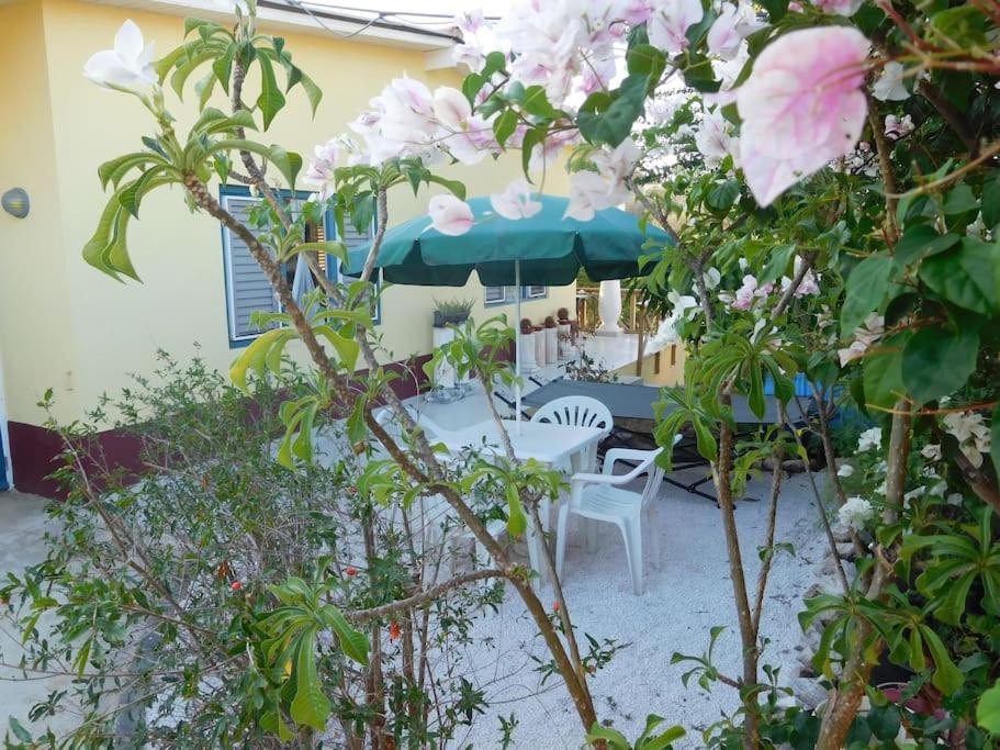 Rosa's Rust en Pad