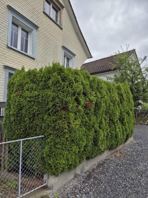 Ferienapartment Rietbach