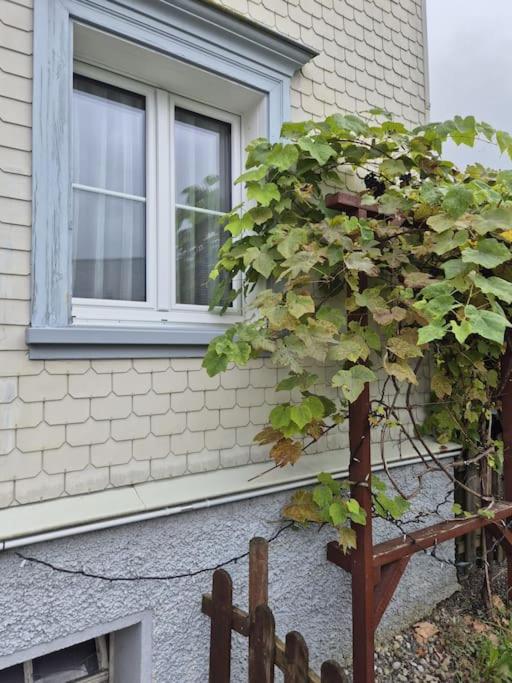 Ferienapartment Rietbach