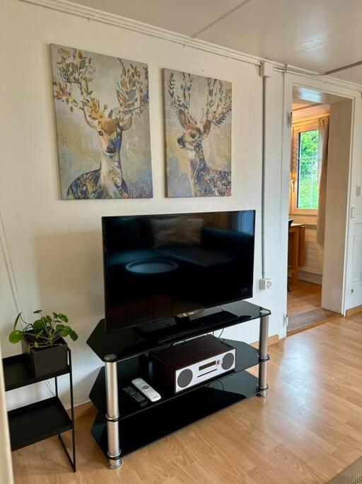 Ferienapartment Rietbach