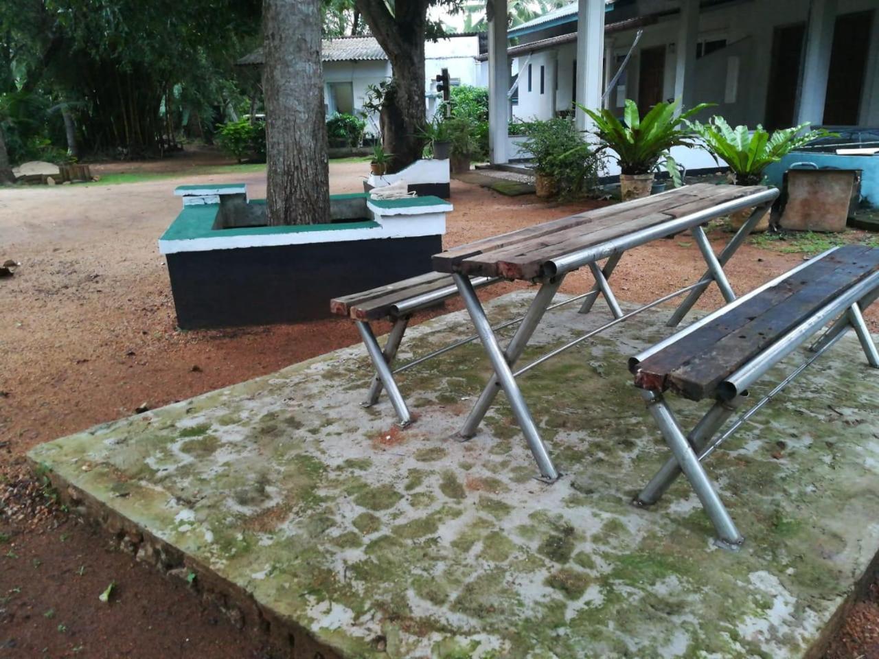 Photo 11
