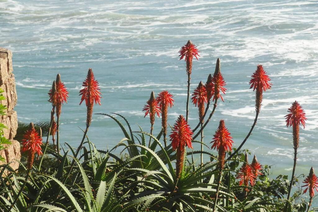 JoaquinaHouse Paraíso exclusivo, acesso a praia