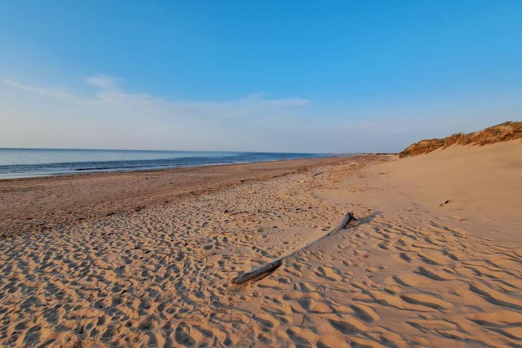 Hidden Dunes Coastal Cottage