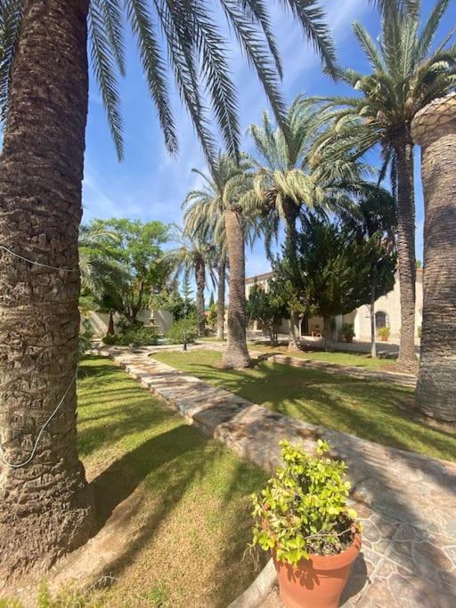 Finca de Roxana