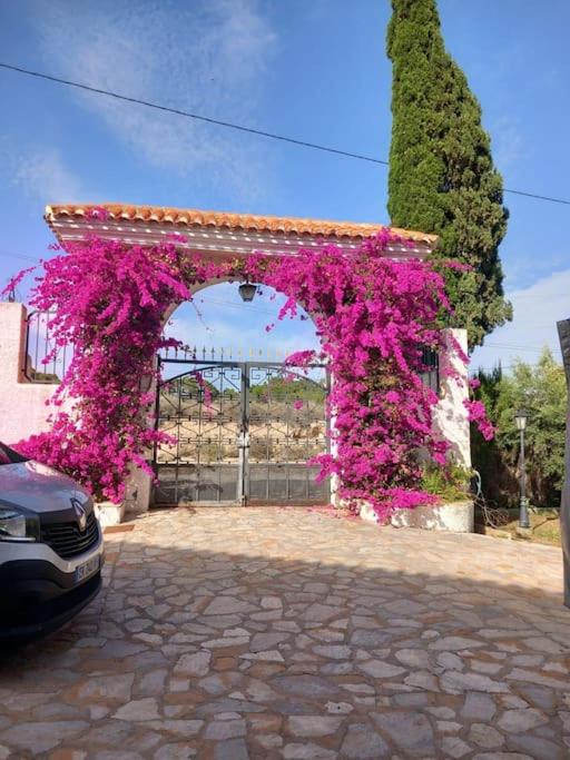 Finca de Roxana