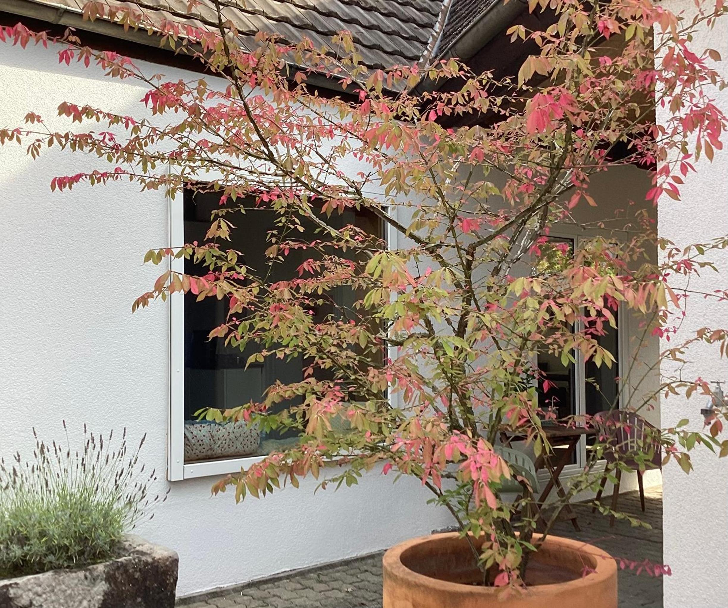 Ferienhaus Fahr am Main