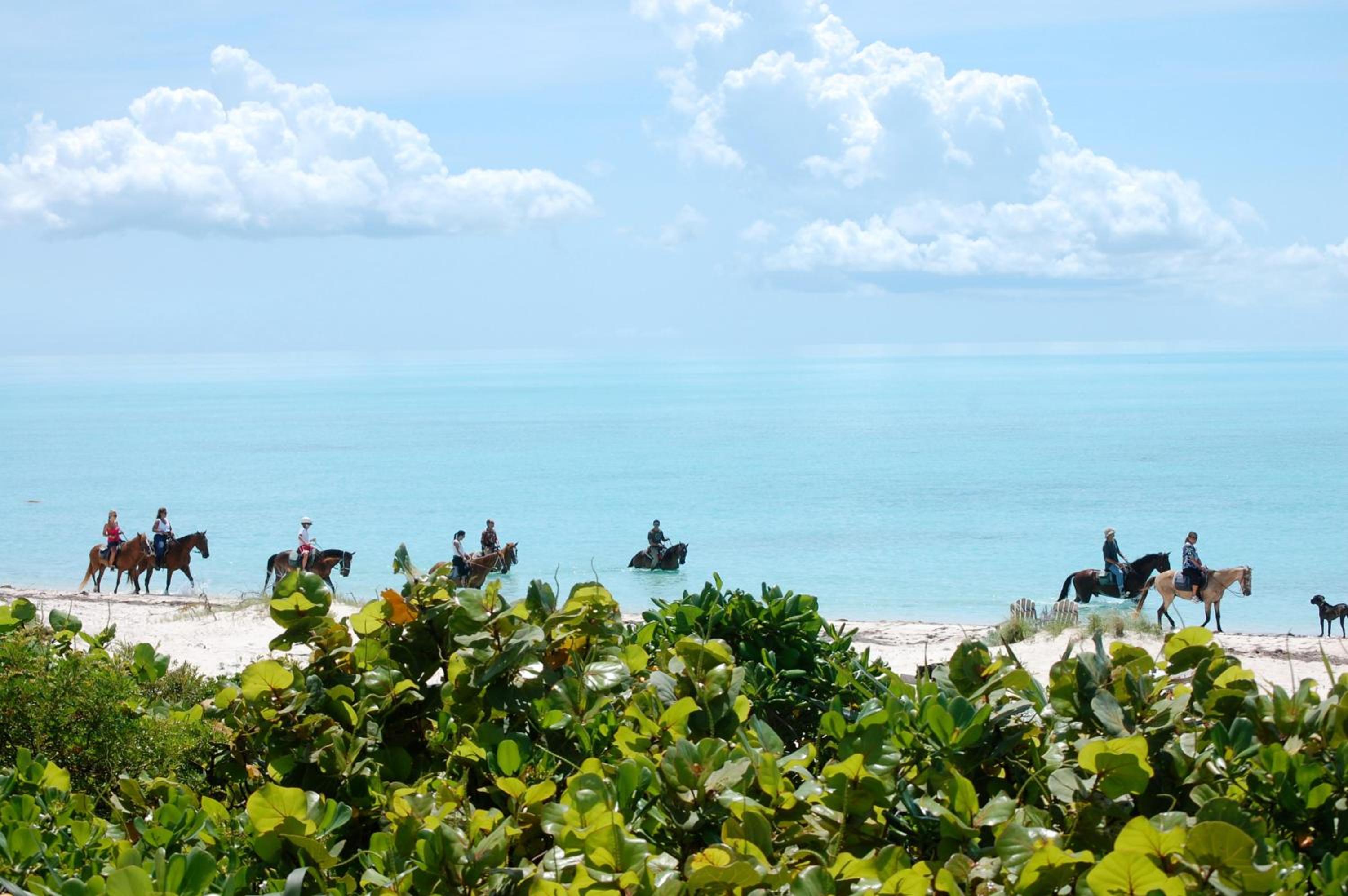 Karana Penthouse - K4 - Property Image 17