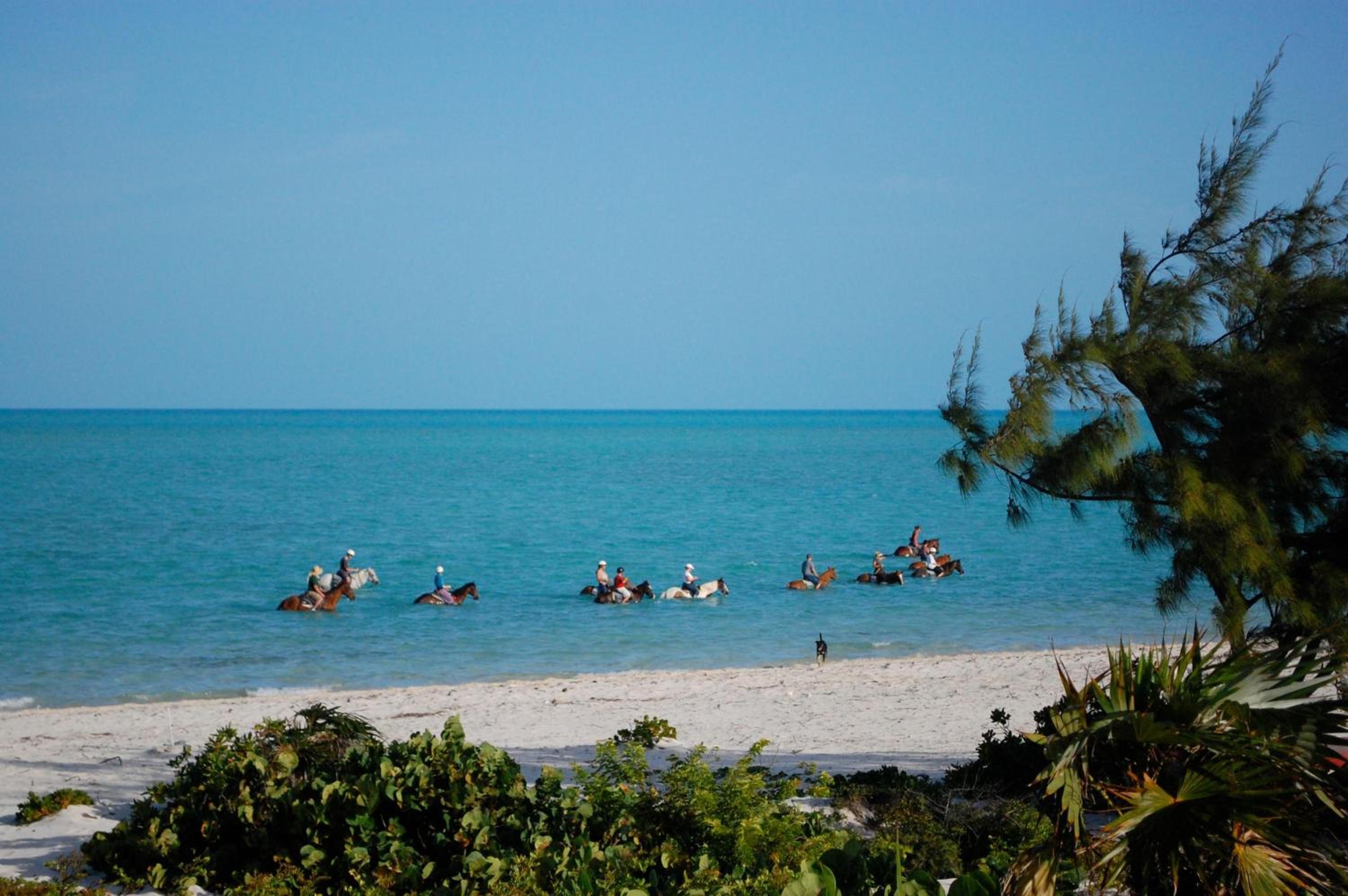 Karana Penthouse - K4 - Property Image 18