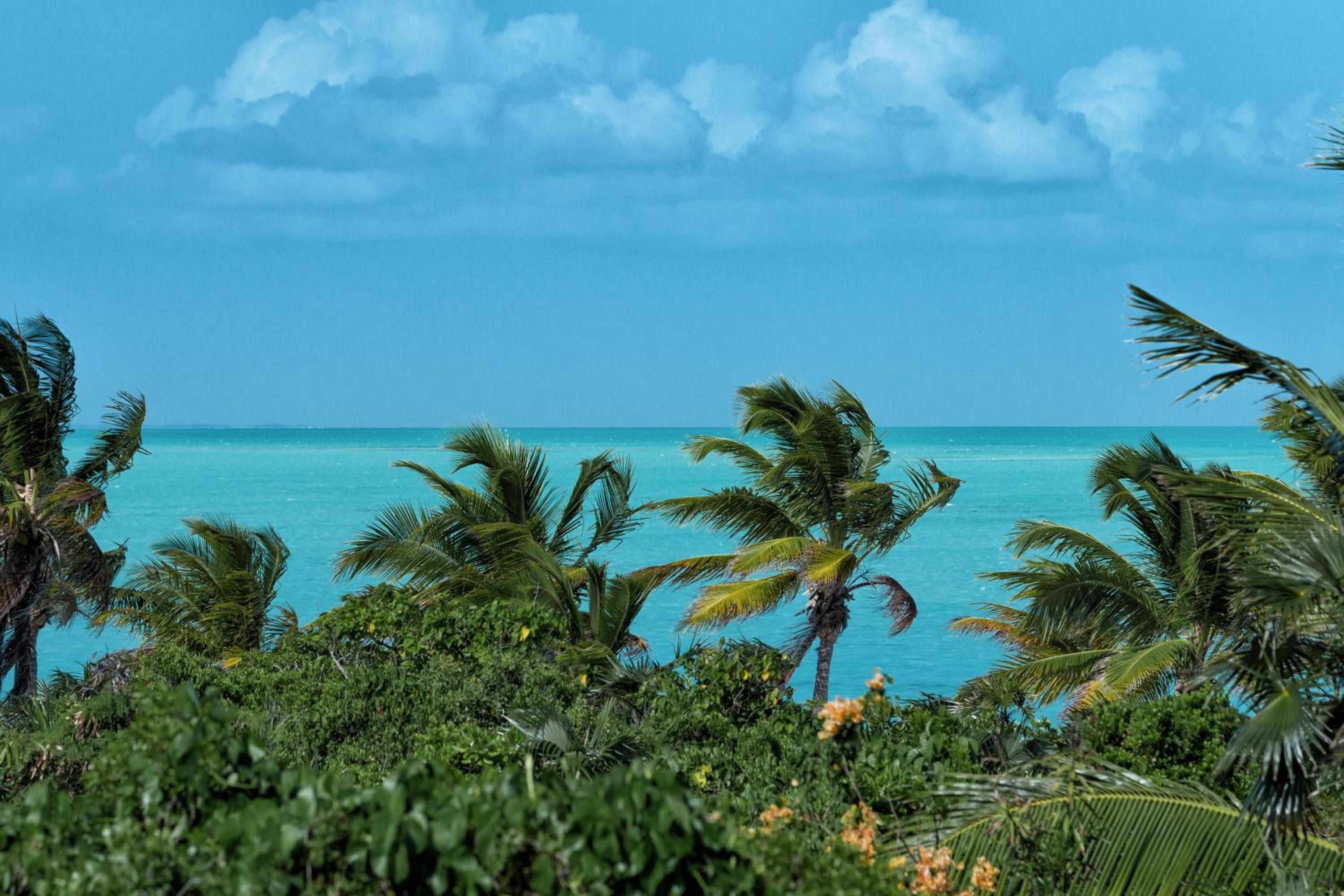 Karana Penthouse - K4 - Property Image 26