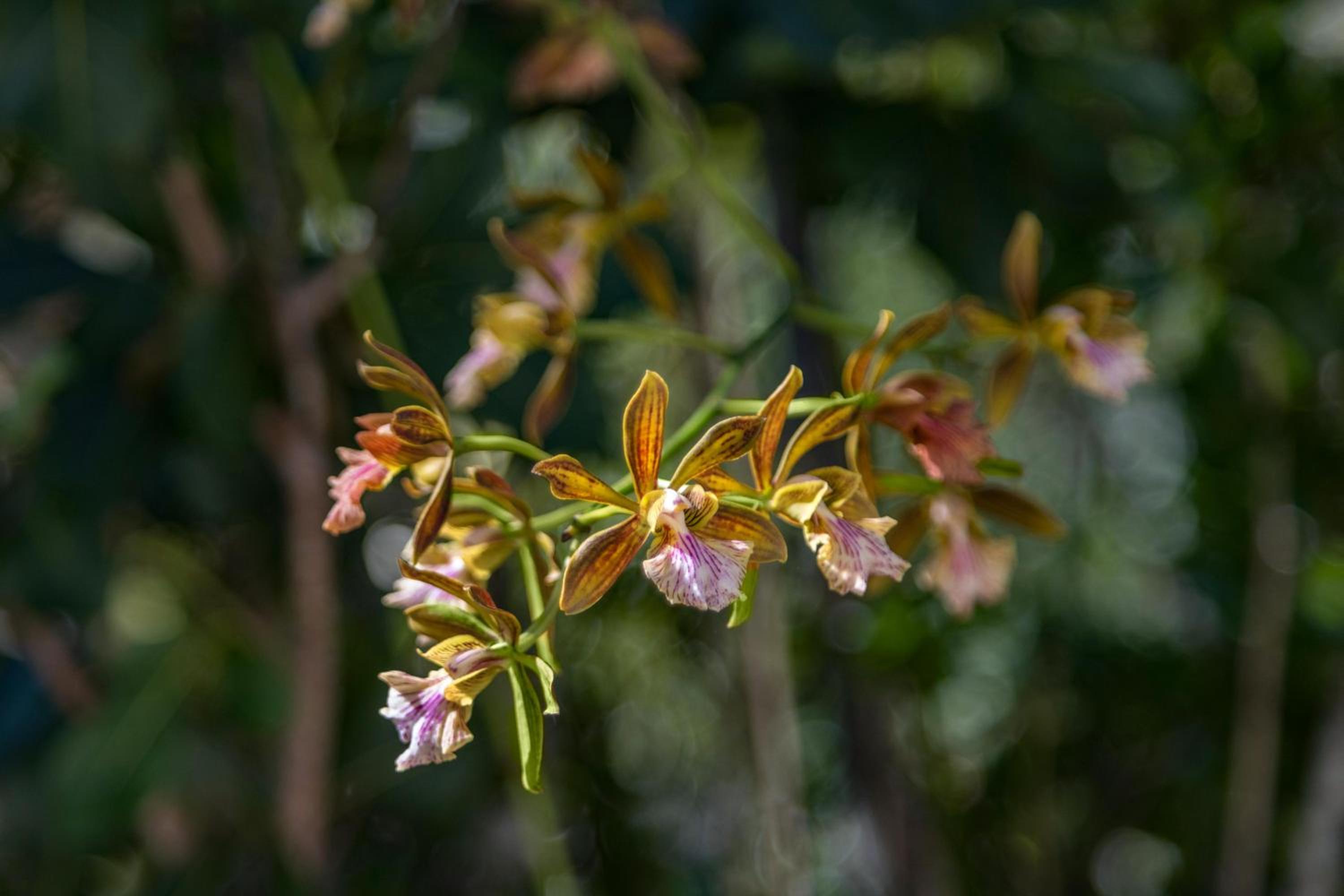 Karana Penthouse - K4 - Property Image 32