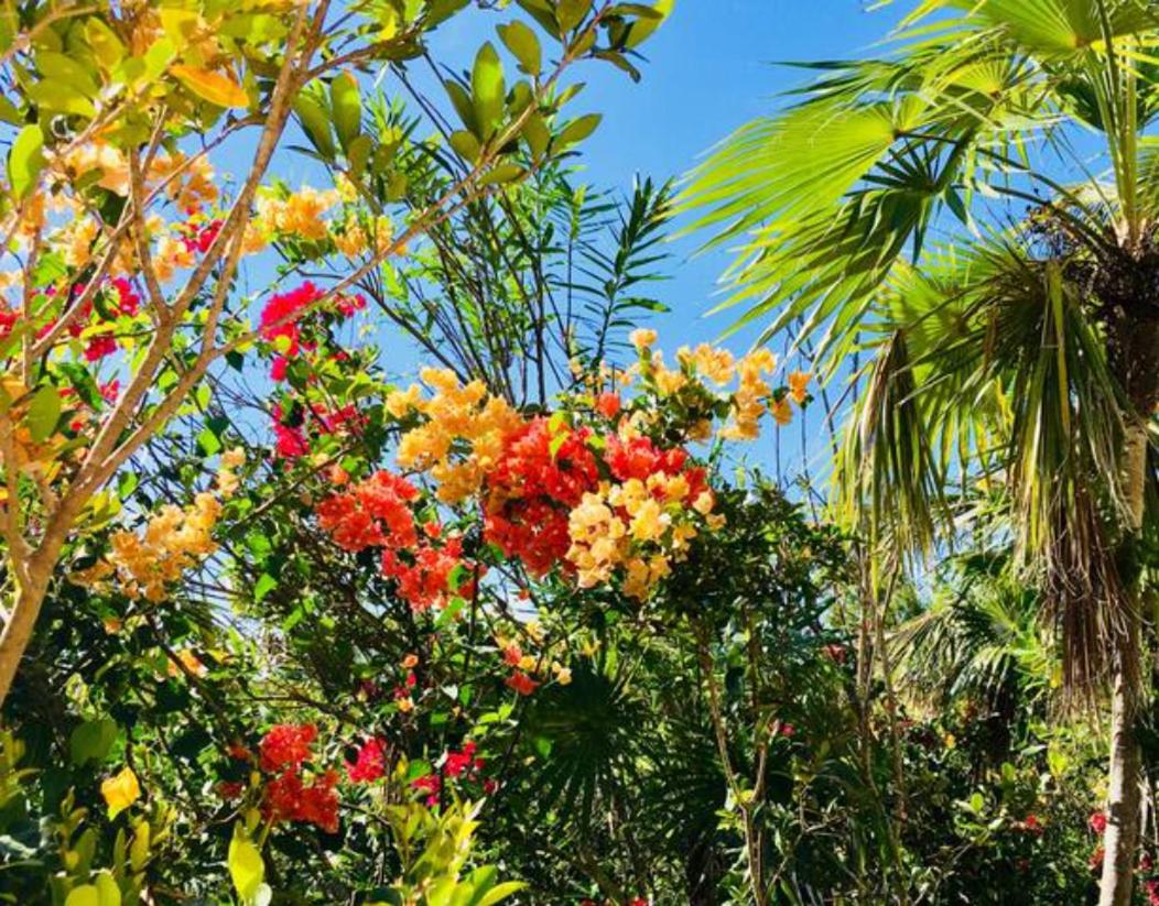 Karana Penthouse - K4 - Property Image 33