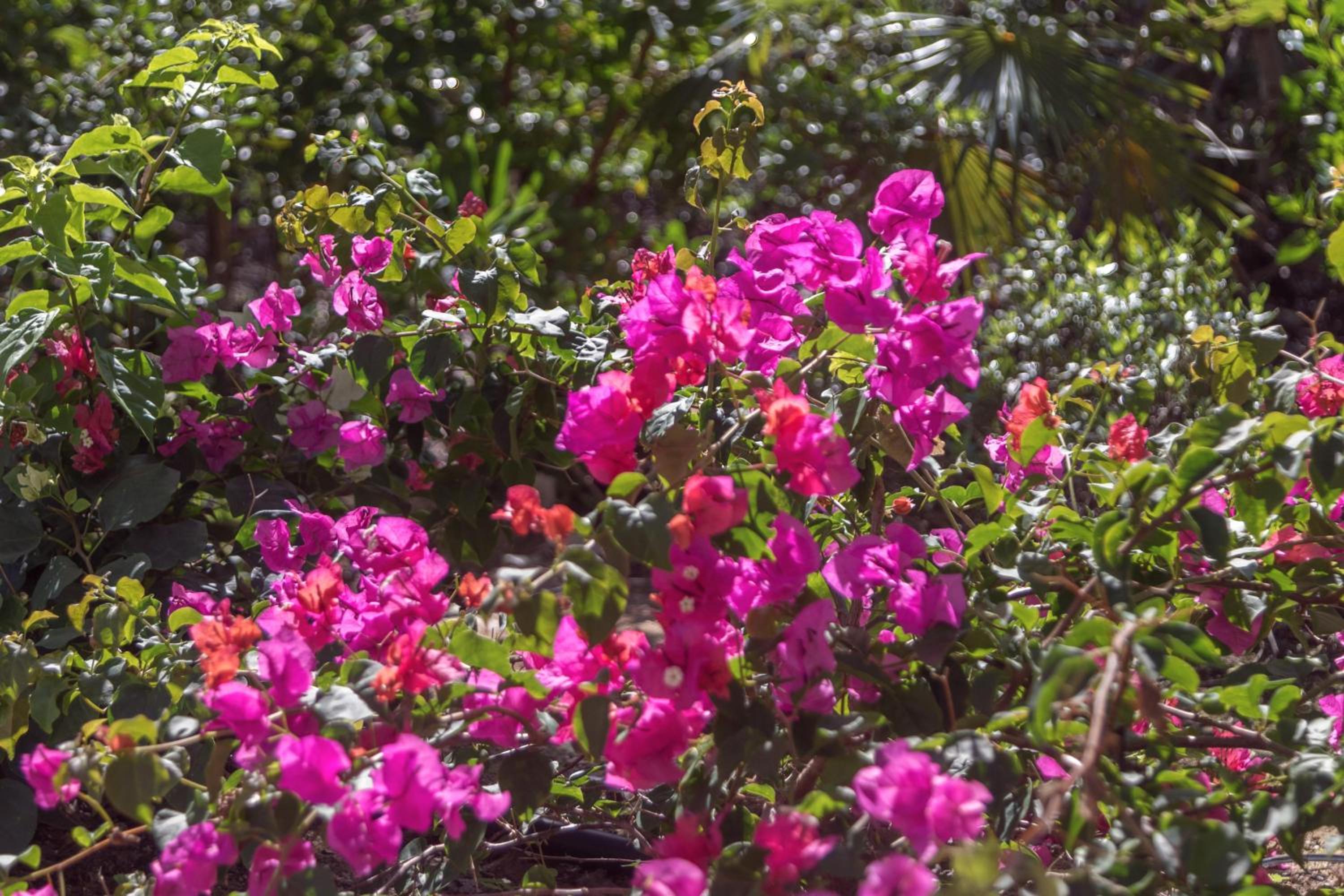 Karana Penthouse - K4 - Property Image 34