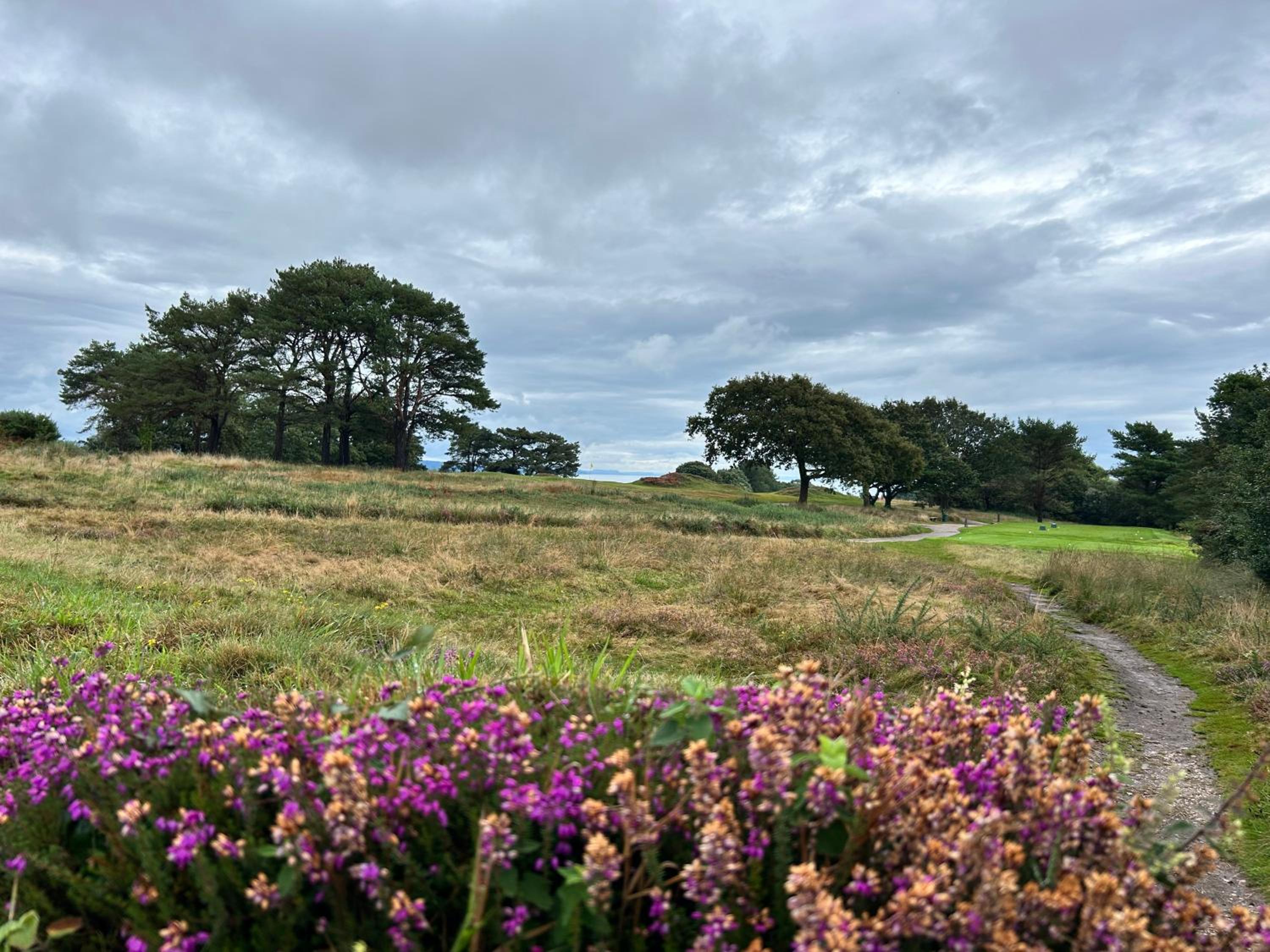 Flat in Budleigh Salterton view 3