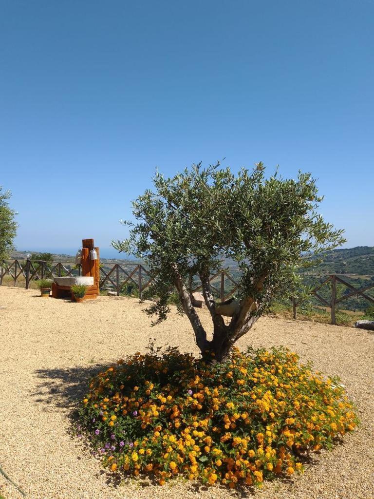 Agriturismo Dispenza