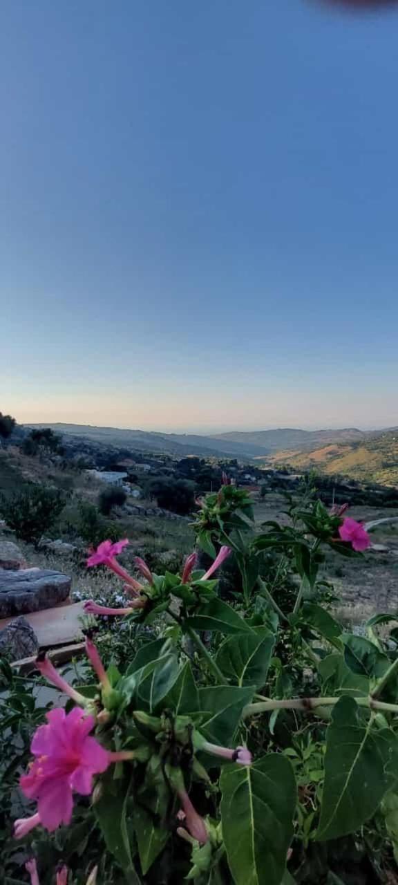 Agriturismo Dispenza