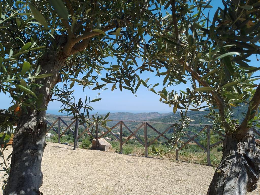 Agriturismo Dispenza