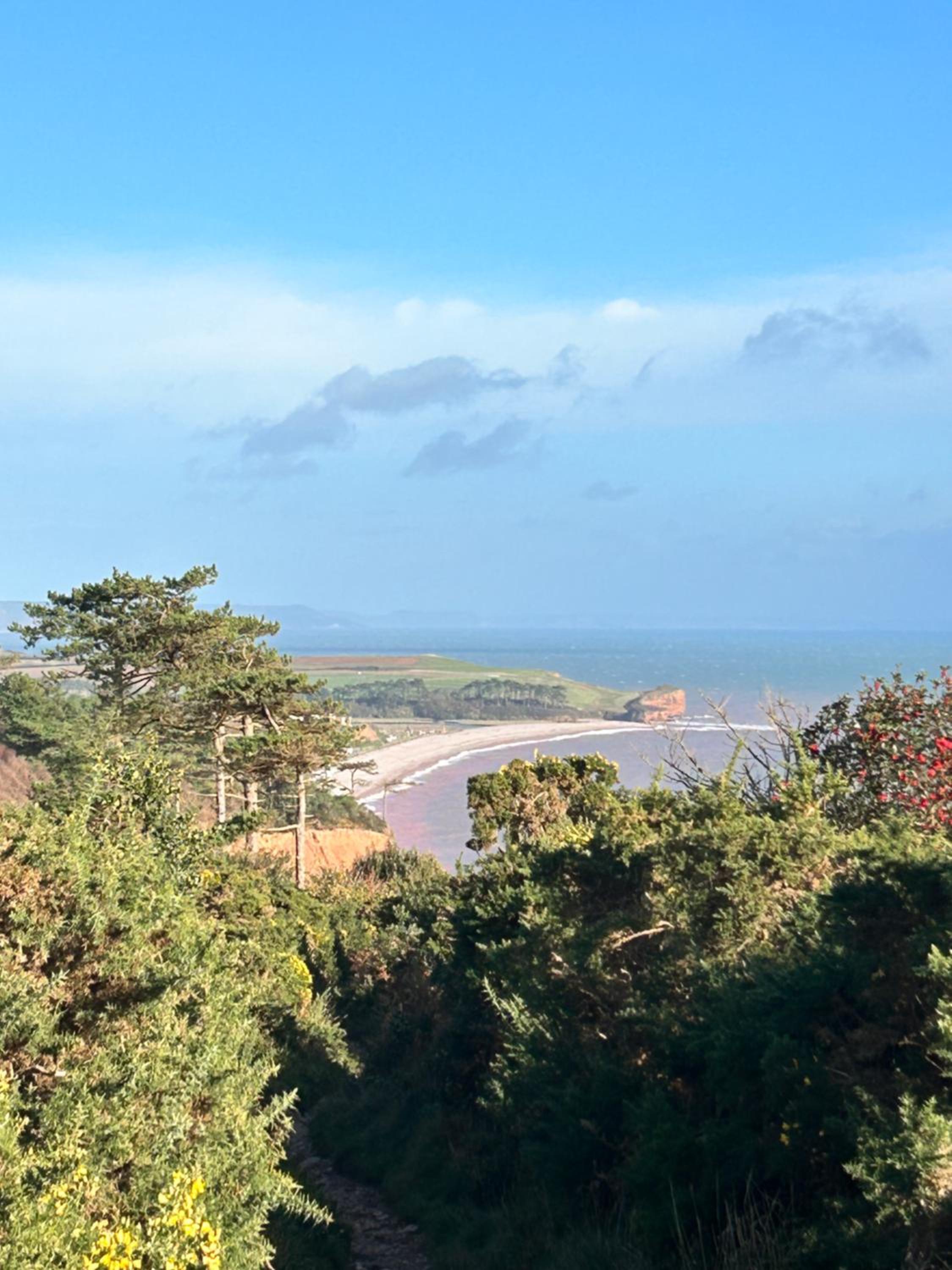 Flat in Budleigh Salterton view 4