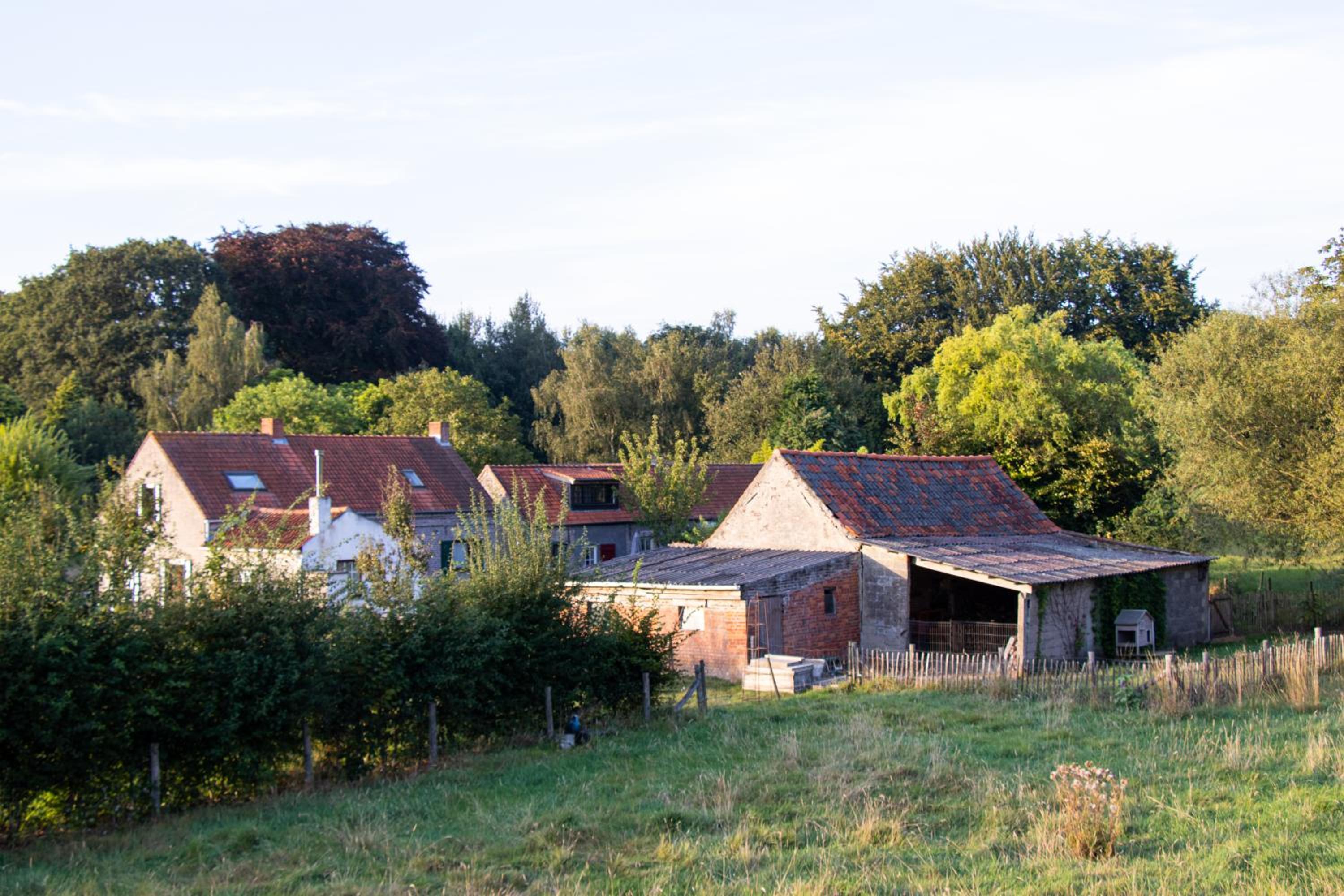 Tiny House in the Nature of Bruges