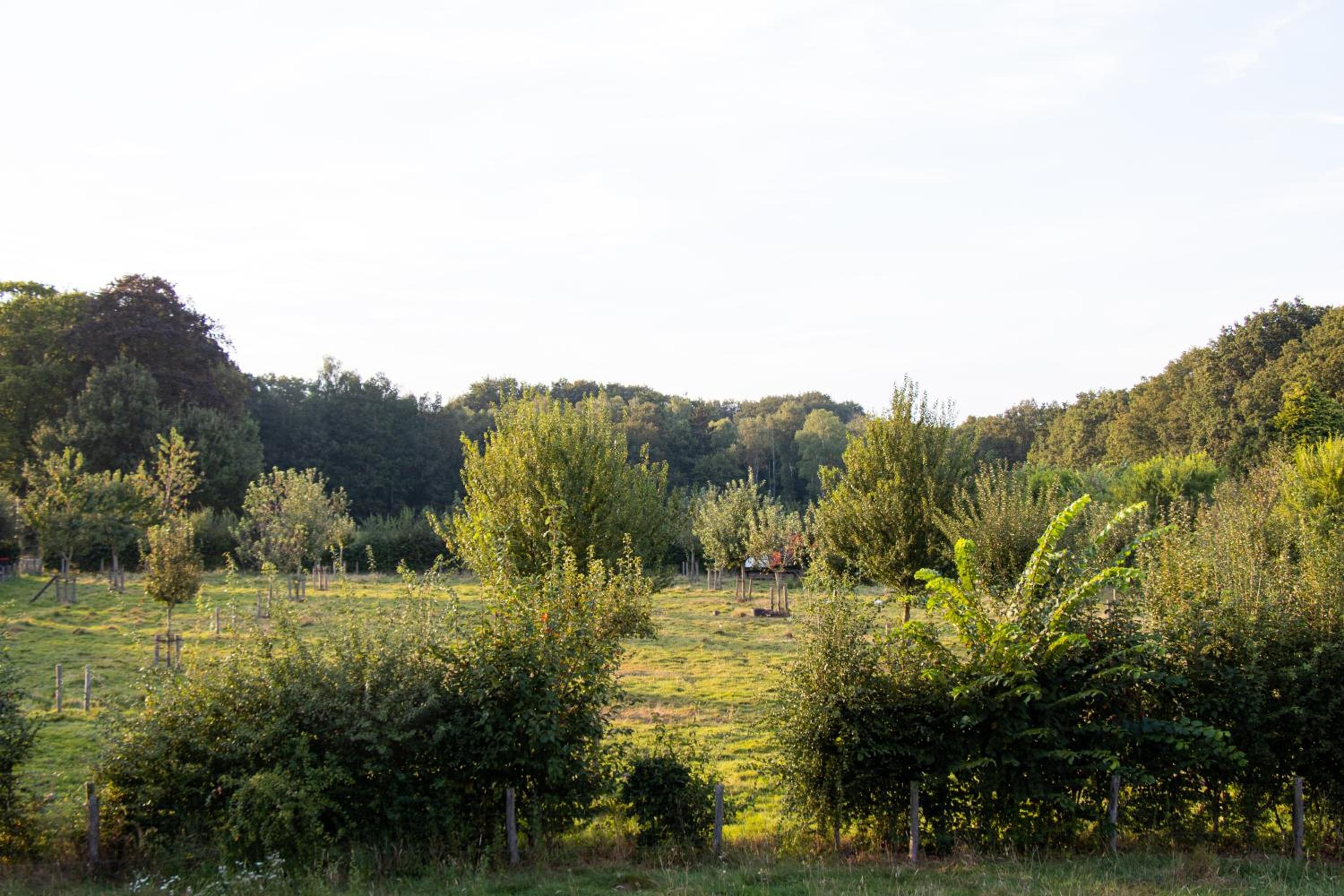 Tiny House in the Nature of Bruges